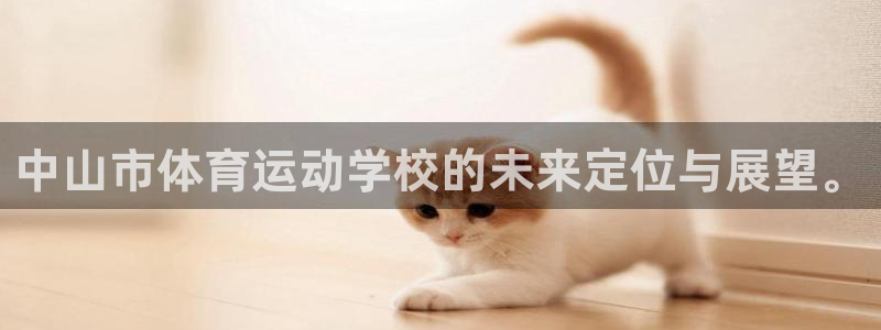 中欧体育zoty下载