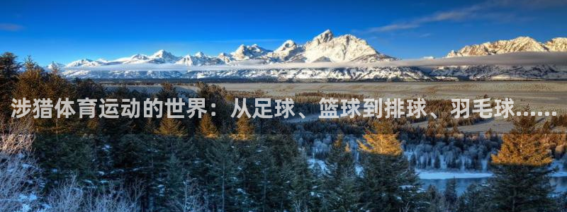 zyty中欧体育平台