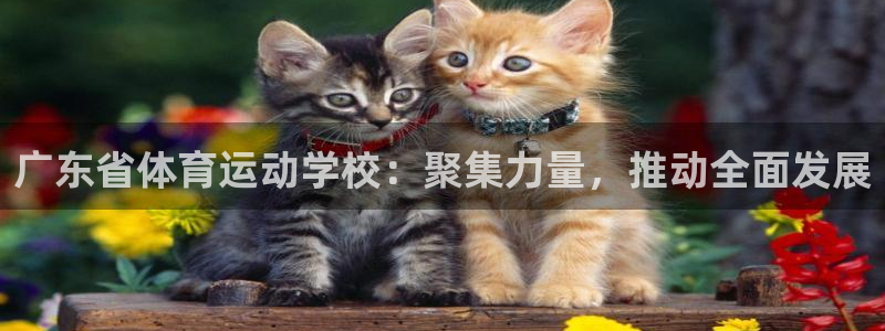zoty中欧体育平台