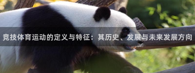 中欧体育kok：竞技体育运动的定义与特征：其历史、发展与未来发展方向