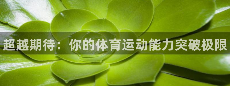 中欧体育app：超越期待：你的体育运动能力突破极限