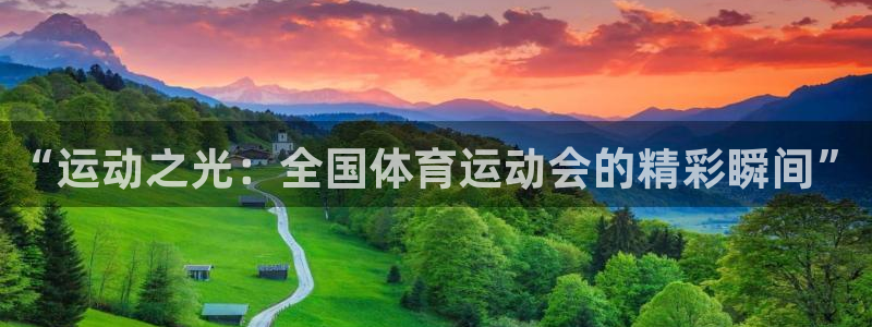 中欧体育app：“运动之光：全国体育运动会的精彩瞬间”