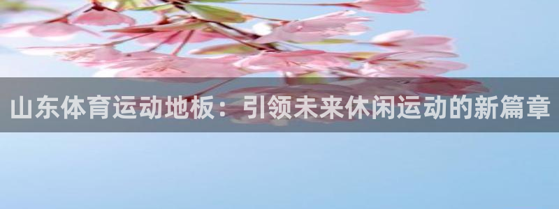 中欧体育官网入口：山东体育运动地板：引领未来休闲运动的新篇章