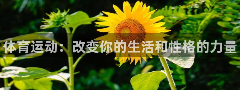 中欧体育(zoty)官网