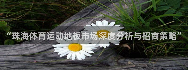 中欧体育官网入口：“珠海体育运动地板市场深度分析与招商策略”